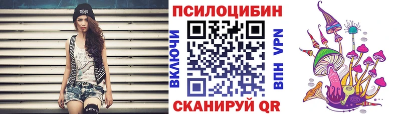 Галлюциногенные грибы Psilocybine cubensis  Торжок 